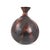The calabash, also known as the bottle gourd, holds a remarkable historical significance, marking human migration across...