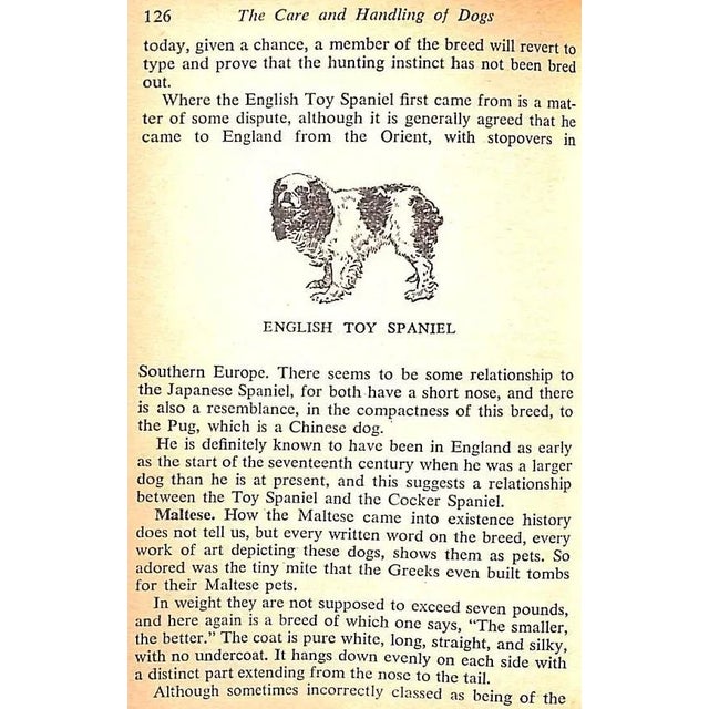 1950s "The Care and Handling of Dogs" 1950 Baird, Jack For Sale - Image 5 of 12