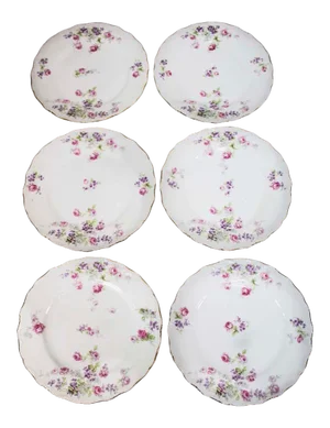 Limoges China Depose Pattern - Set of 6 Plates