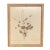 Framed Antique Herbarium Botanicals, 1897 — Set of 10 For Sale - Image 13 of 17