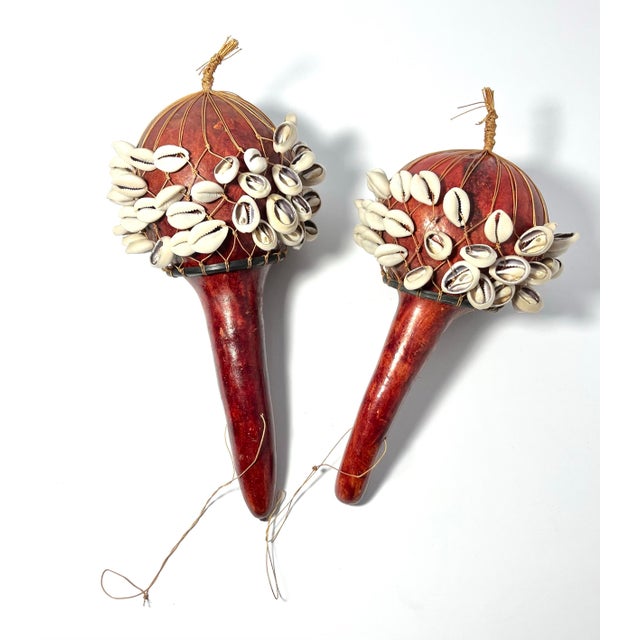 2 Dried Maasai Gourd Cowrie Shell Musical Shaker Percussion Instrument African Length 9” to 10” Width 4” to 4.5”