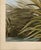 John James Audubon Audubon American Great Blue Heron Giclee Print For Sale - Image 4 of 7