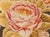 Contemporary High and Low Bessarabian Wool Rug by Doris Leslie Blau For Sale - Image 9 of 9