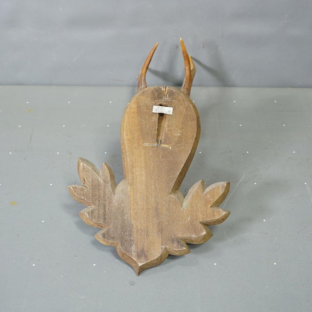 Great Black Forest Red Deer Trophy on Carved Plaque - Germany 1954 For Sale - Image 6 of 6