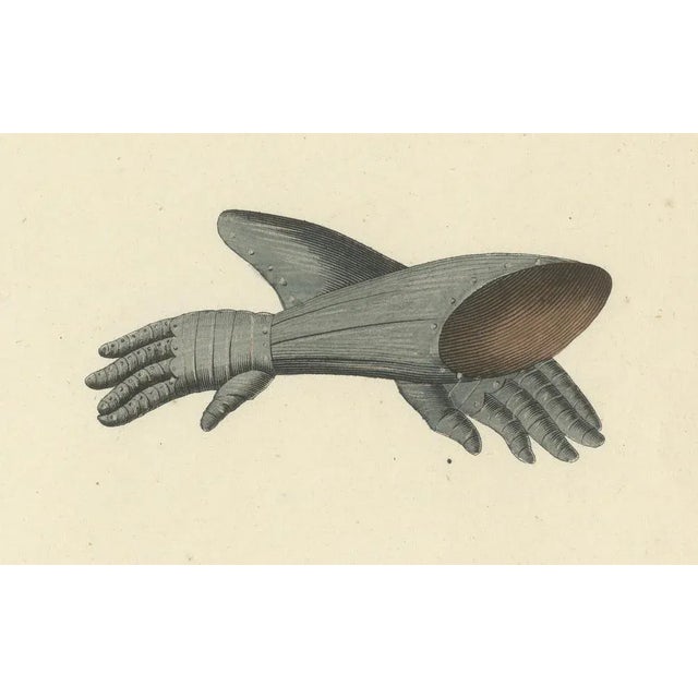 Medieval Gauntlets and Arm Defenses, 1842, Lithograph For Sale - Image 3 of 6