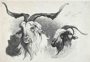 After Charles Coleman, Antelope in the Roman Countryside, Original Etching, 1992