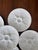 French Provincial Vintage French Pillivuyt Porcelain Oyster Plates, White, Set of 6 For Sale - Image 3 of 10