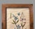 Glass Antique Custom Rustic Country Framed Latin Botanical Flower Print For Sale - Image 7 of 9