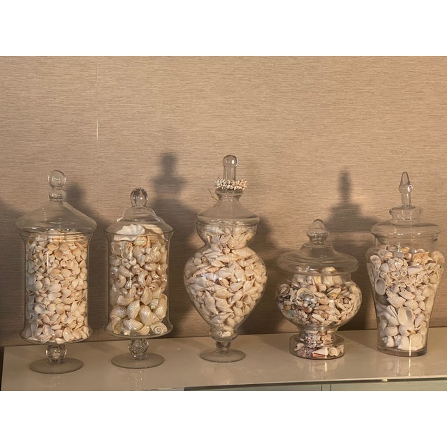 Vintage Large Glass Jars With Sea Shells For Sale - Image 11 of 12
