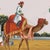 Indian Company School, Government Messenger on a Camel, 1800s, Gouache Paper For Sale - Image 4 of 9