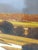Tony King Large Oil Painting Signed Landscape Road Southwest Western Country Moody Warm For Sale - Image 9 of 12