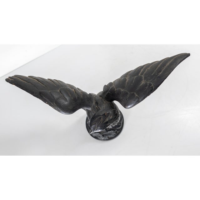 Wood 19th Century German or Swiss Black Forest Carved Eagle Bird of Prey For Sale - Image 7 of 12