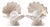 Mid 20th Century Mid Century Modern Oyster Shell Shaped Porcelain Lamps - Pair For Sale