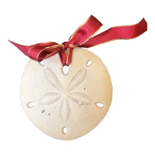 Sand Dollar Ornament For Sale