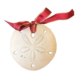 Sand Dollar Ornament