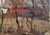 Vintage Ukrainian Impressionist Oil Painting, Rural Landscape, 1960s 15-22 For Sale - Image 6 of 6
