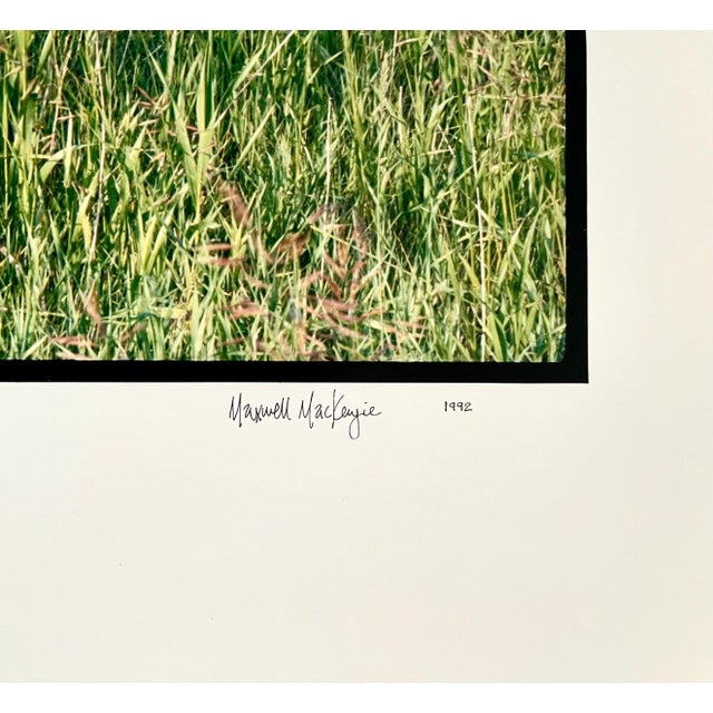 Realism Maxwell Mackenzie, Old Barn Summer Landscape, Large Panoramic Vintage Color Photograph Signed Photo, 1992 For Sale - Image 3 of 9