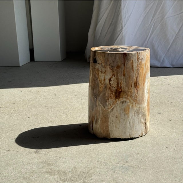 Petrified Wood Side Table For Sale - Image 15 of 18