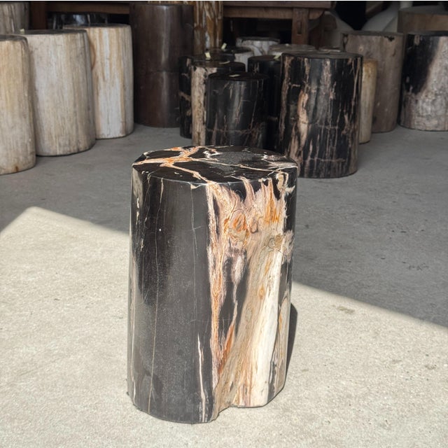 Side Table in Black Petrified Wood with Beige Star Pattern For Sale - Image 13 of 18