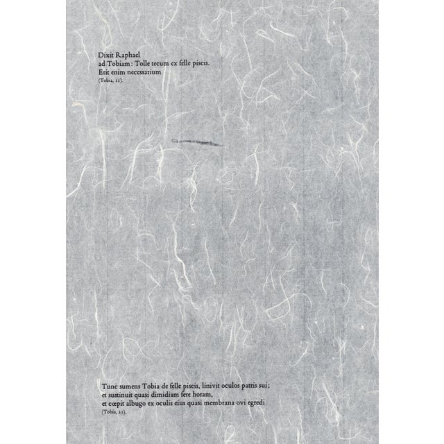 1960s 1968 Salvador Dalí Biblia Sacra Lithograph "Statimque Tobias Visum Recepit" (Immediately Tobias Recovered His Sight) For Sale - Image 5 of 11