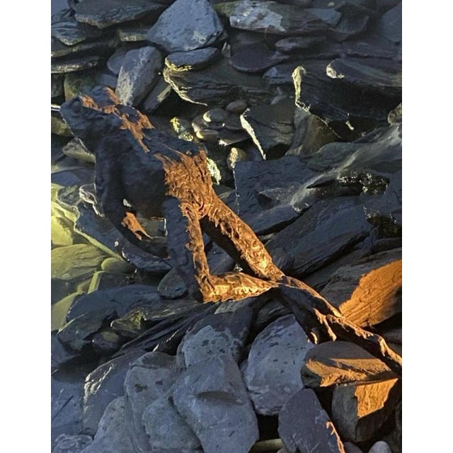 A wonderfully animated solid bronze leaping frog fountain sculpture, capturing the animal at the precise moment it...