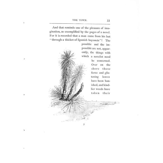 Paper "Florida Days" 1889 Deland, Margaret For Sale - Image 7 of 9