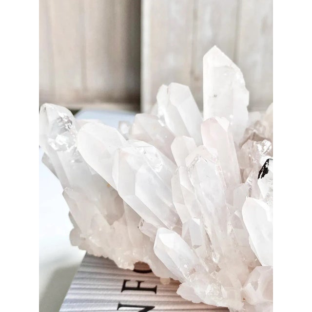 Large Dendritic Crystal Cluster Samadhi Himalayan Quartz Slight Lavender For Sale In Los Angeles - Image 6 of 11