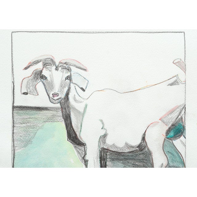 Karen Druker "Six Goats" Contemporary Watercolor and Pencil on Paper Circa 2010 For Sale - Image 4 of 5