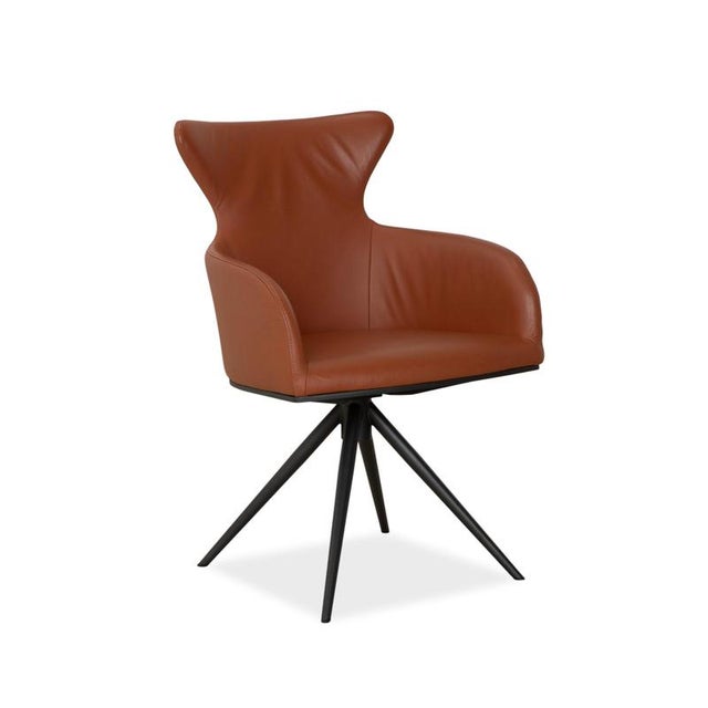 Luno Chairs in Brown Leather from Bert Plantagie, Set of 4 For Sale - Image 5 of 18