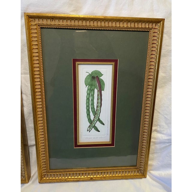Figurative Bailey Tidwell Signed Limited Edition Still Life Framed Lithographs Set of 2 For Sale - Image 3 of 12