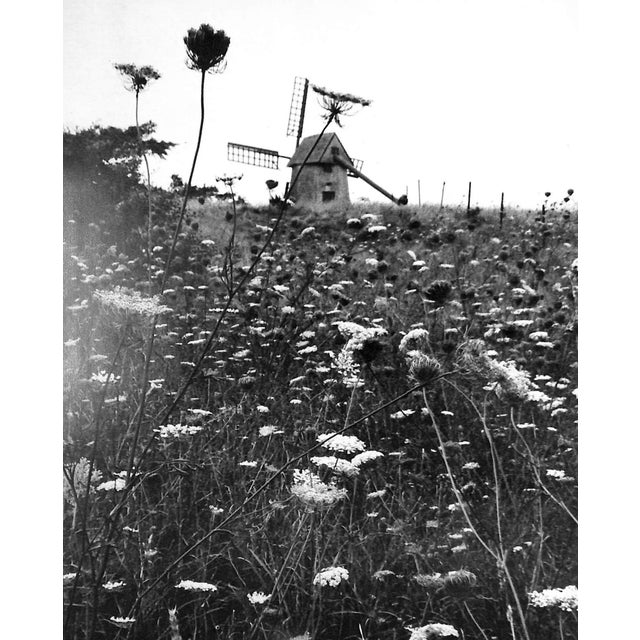 White "Nantucket Island" 1974 Gambee, Robert (Signed) For Sale - Image 8 of 12