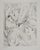 Mily Possoz, Lily of the Valley, Original Signed Engraving For Sale - Image 11 of 11