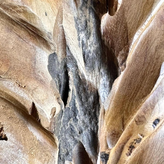 Italian Phytomorphic Abstract Sculpture in Natural Ash, 1960s For Sale - Image 13 of 18