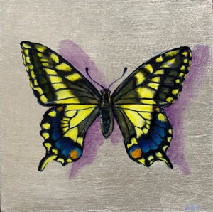 Swallowtail by Sarah van der Helm | Oil on silver leaf panel of a yellow and black butterfly