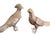 20th century silver-plated pheasant sculptures, one male and female, with distinguishing features such as crests, long...