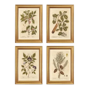 Set of 4 Winter Botanical Framed Prints, Gold Frame