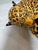 Lynn Chase Designs Jungle Party Collection Jaguar Money Bank, Circa 1988 For Sale In San Francisco - Image 6 of 12