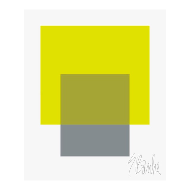 The Interaction of Lime Green and Gray Fine Art Print 45" X 55" by Liz Roache For Sale