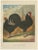 The Sleek Black Hamburg Chicken, 1888, Lithograph For Sale