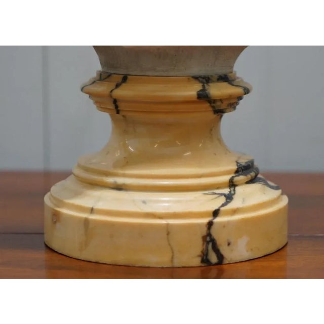 Napoleon III French Solid Marble Bust For Sale - Image 11 of 18