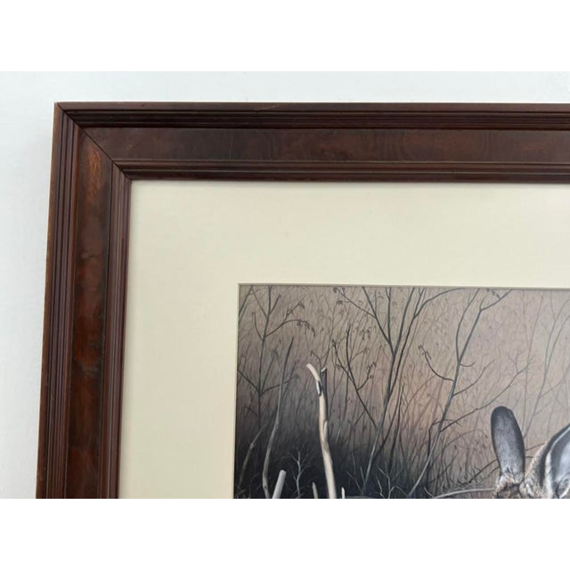 Wood Charles Fracé “My Friend – Eastern Cottontail” Limited Edition Wildlife Print For Sale - Image 7 of 14