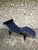 LC4 Chaise Lounge in Blue Leather by Le Corbusier, Pierre Jeanneret & Charlotte Perriand for Cassina, 1980s For Sale - Image 6 of 18