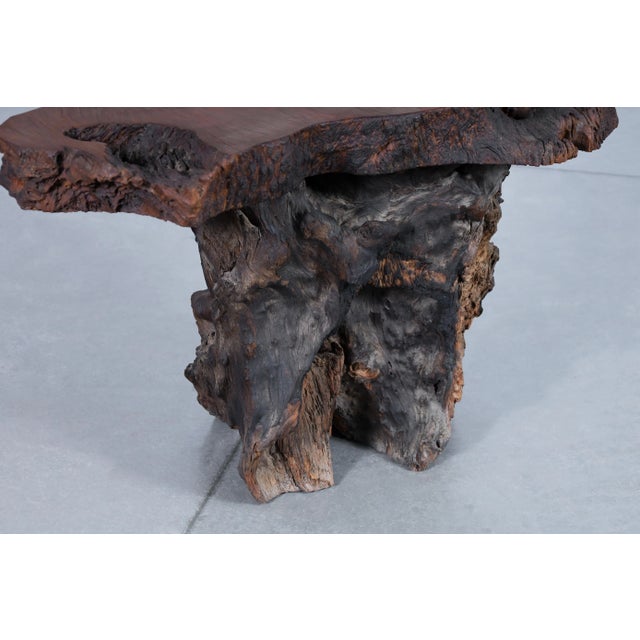 Mid-Century Modern Sculptural Free Form Redwood Burl Side Tables, 1960s For Sale - Image 12 of 12