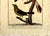 French 18th-Century Pair of French Hand-Colored Copperplate Engravings of Exotic Birds, by François-Nicolas Martinet For Sale - Image 3 of 18
