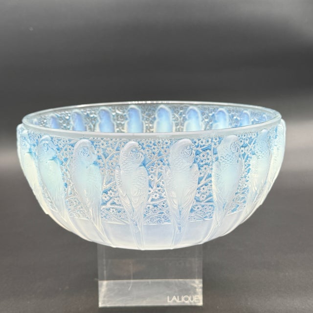 Parakeet Cup by René Lalique for Lalique, 1931, in Flawless conditions. Designed 1920 to 1949 This piece has an...