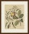 This antique botanical print from bertuch's bilderbuch shows the cashew tree with its colourful cashew apples and kidney...