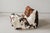 This Togo has been reupholstered with new foam and high-quality new fabric, keeping its inner structure, giving the item...