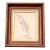 Antique Pressed Wildflowers Botanical Herbarium Specimen 1936 Beautifully Displayed in 19th Century Gilt Walnut Frame For Sale