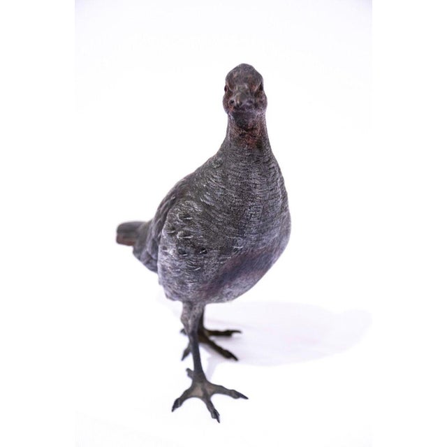 Vintage Bronze Pigeon Sculpture, France, 1950s For Sale - Image 3 of 6