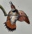 Audubon Red-Shafted Woodpecker: A First Octavo Edition Audubon Hand-Colored Lithograph, 1840 For Sale - Image 4 of 5